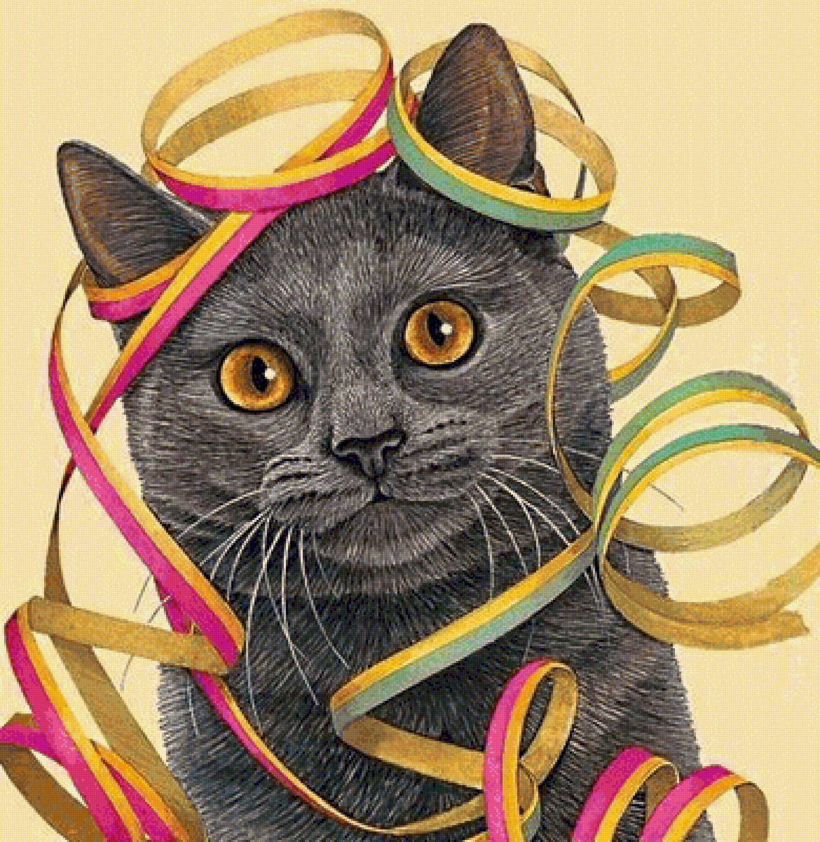 британский Лорд - домашние животные, кот, британский голубой, кошка - предпросмотр