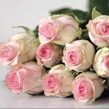 Схема вышивки «Розы»