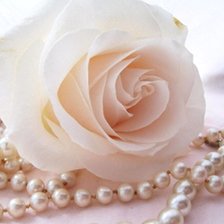 Схема вышивки «Розы»