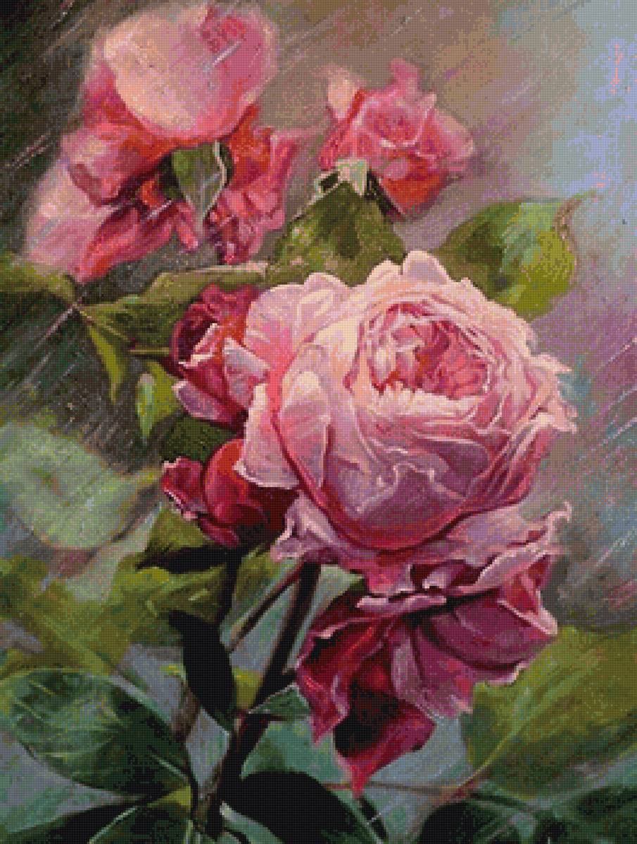 розы - предпросмотр