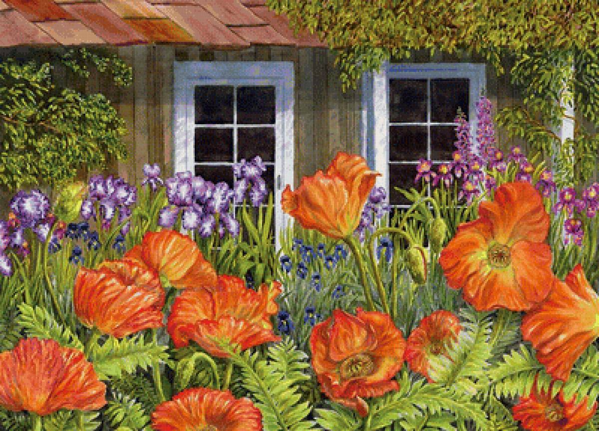 zátišie,okno - предпросмотр