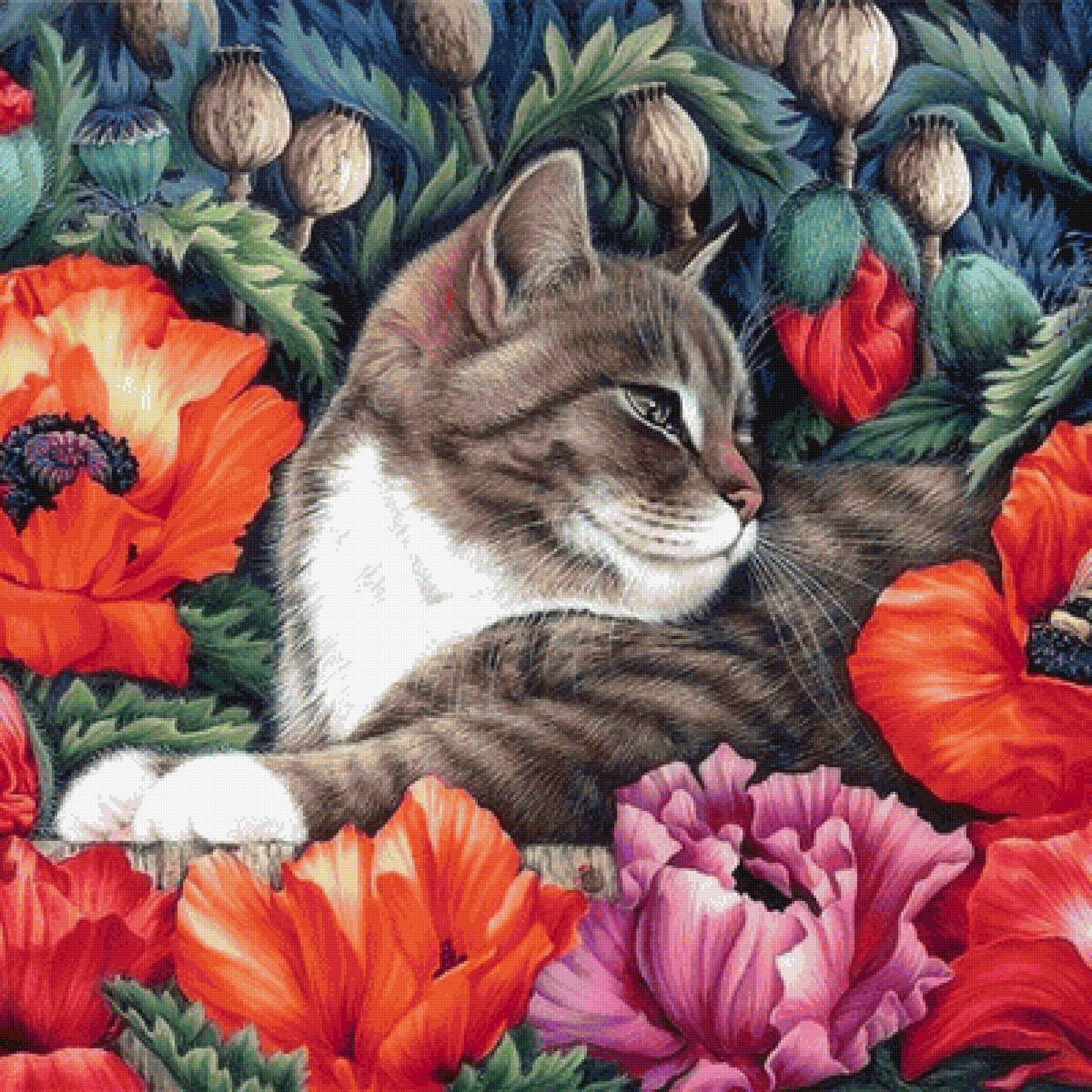 кот и маки - предпросмотр