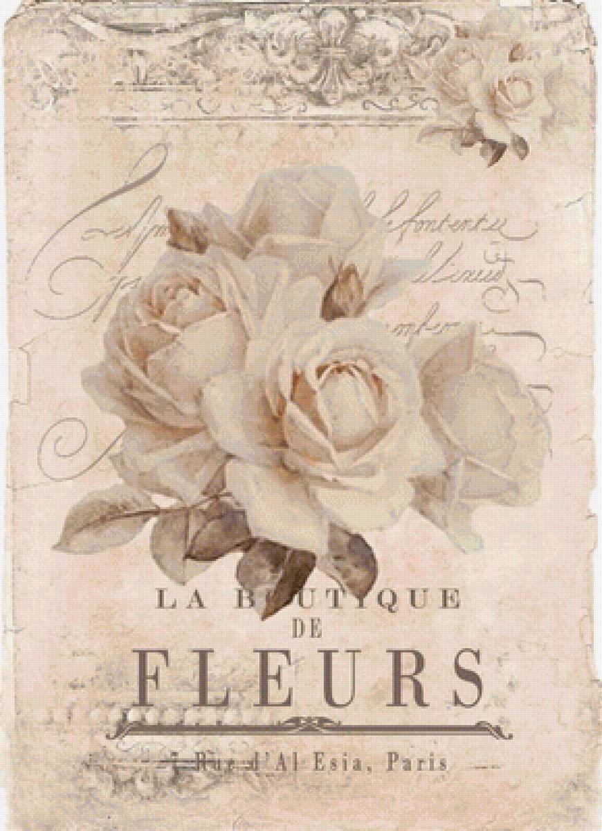 Růže 2 - предпросмотр