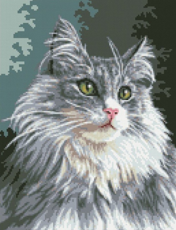 Кошечка - кошка, красавица - оригинал