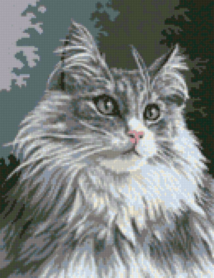 Кошечка - красавица, кошка - предпросмотр