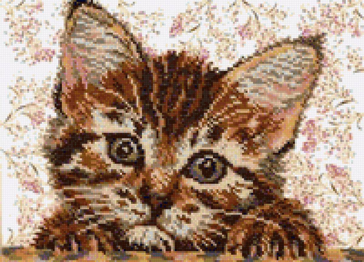 Котенок - кошка, котенок, кот - предпросмотр