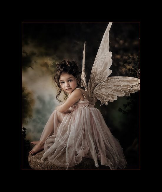 Motýlek 1 - оригинал