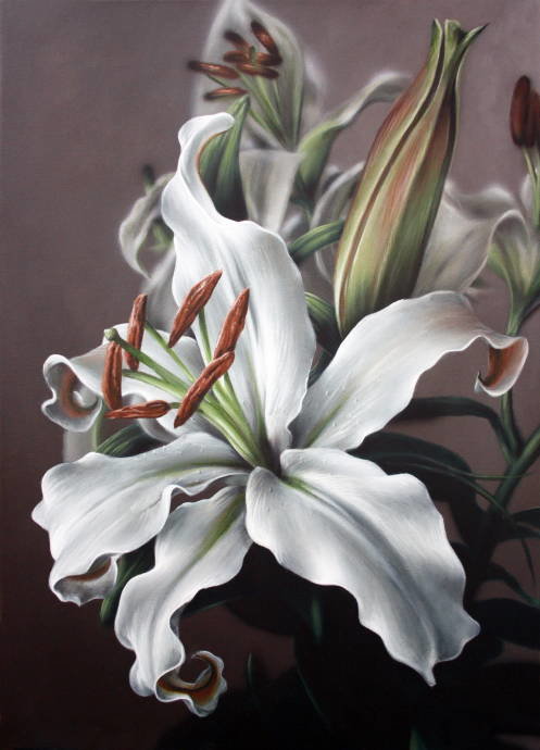 Лилия - цветы, белая лилия - оригинал