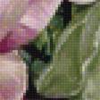 Предпросмотр схемы вышивки «розы» (№1513721)