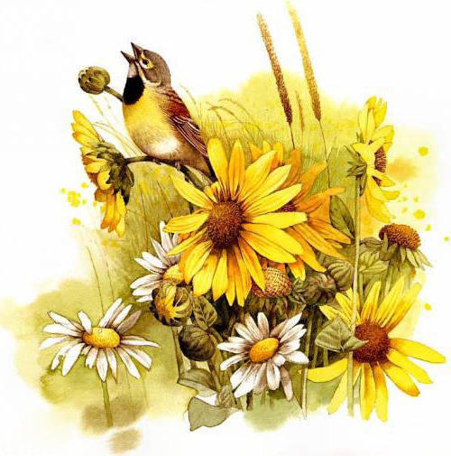 Птичка - оригинал