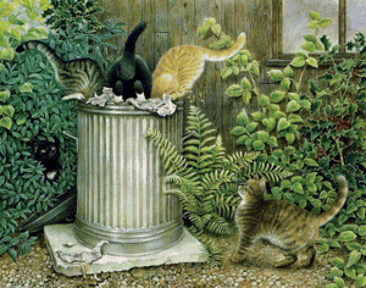 Котики - котики - предпросмотр