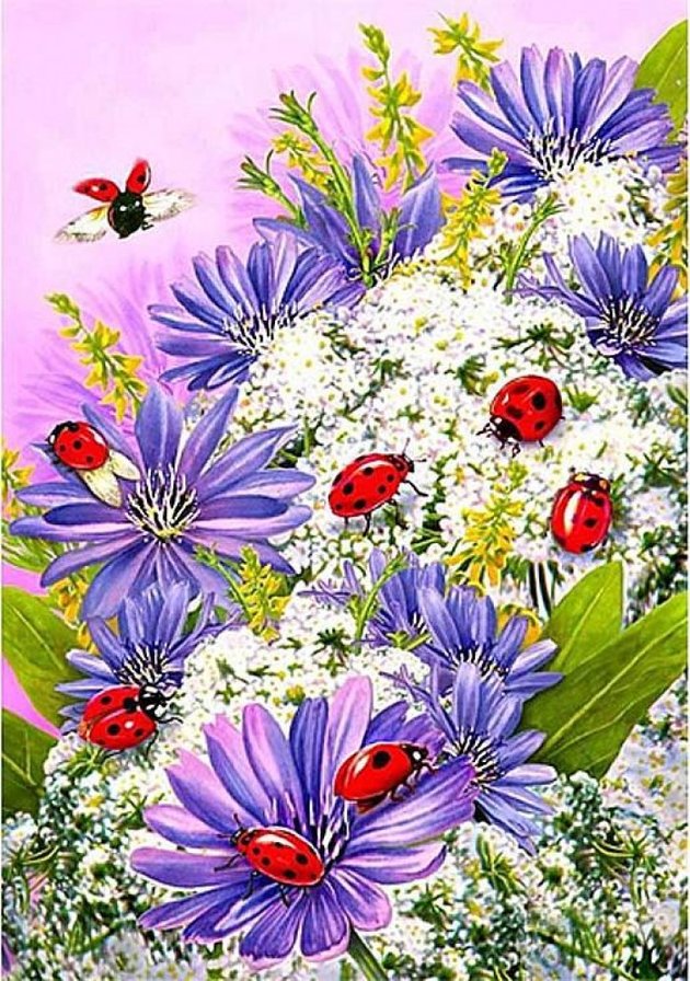 Божьи коровки - лето, цветы, божьи коровки - оригинал