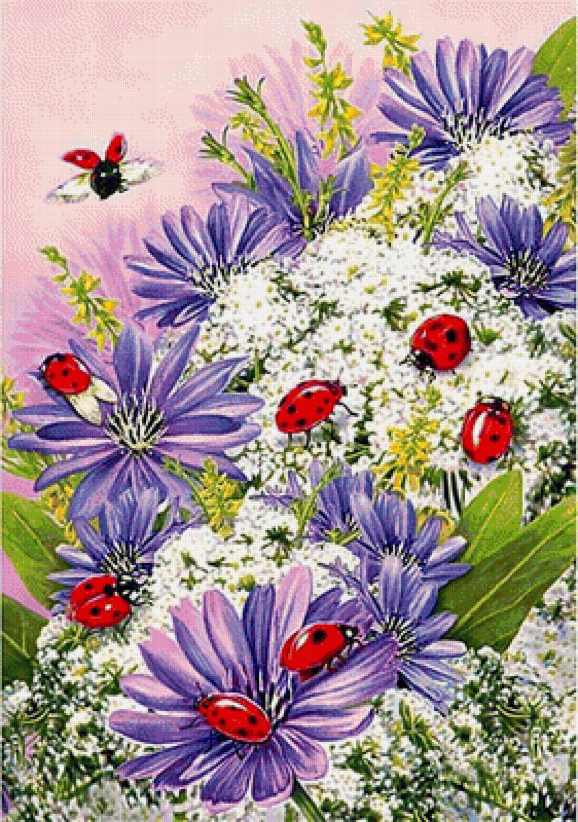 Божьи коровки - цветы, божьи коровки, лето - предпросмотр
