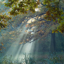 лучик солнца