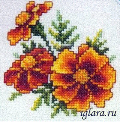 Бархатцы - оригинал