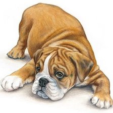 Схема вышивки «№1516656»