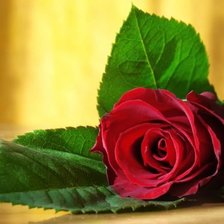 Схема вышивки «Роза»