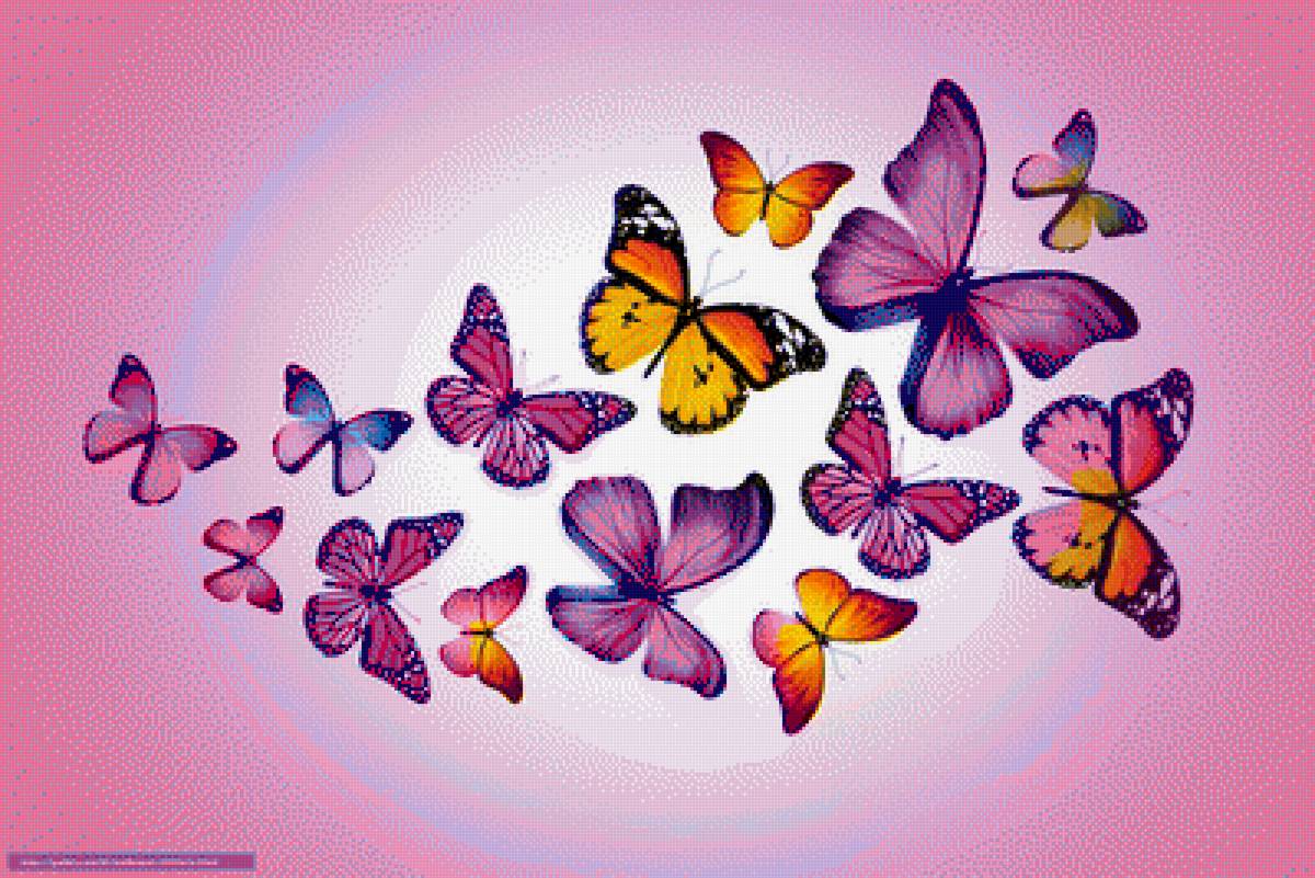 Бабочки - бабочки - предпросмотр