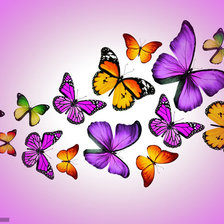 Схема вышивки «Бабочки»