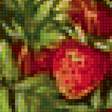 Предпросмотр схемы вышивки «Земляника» (№1517511)