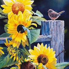 Схема вышивки «подсолнухи»