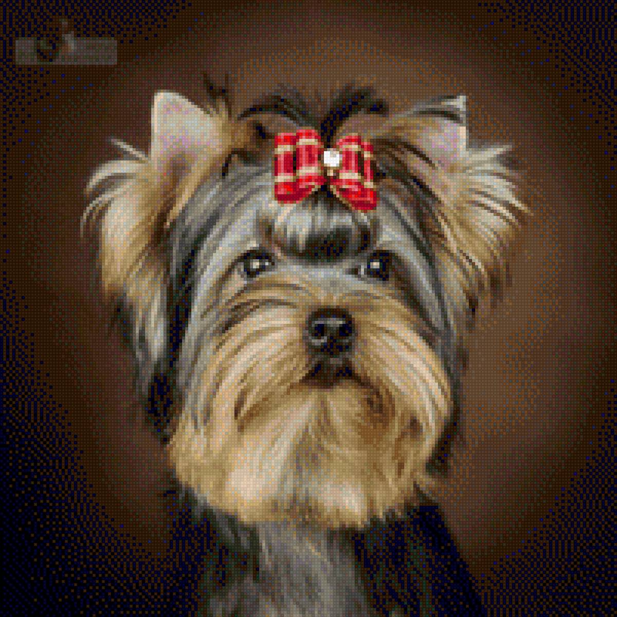 йорк - предпросмотр