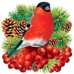 Снегирь - оригинал