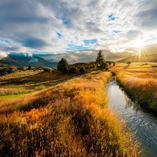 Схема вышивки «№1519447»