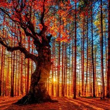 Схема вышивки «№1519453»