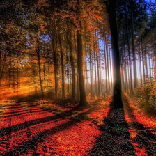 Схема вышивки «№1519459»