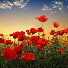 Схема вышивки «№1519466»