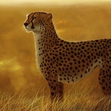 Схема вышивки «№1519552»