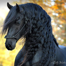Схема вышивки «№1519596»