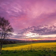 Схема вышивки «№1519599»