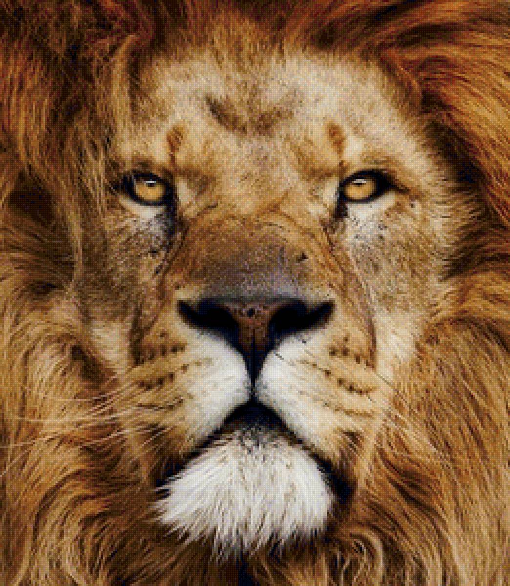 №1519610 - животные - предпросмотр