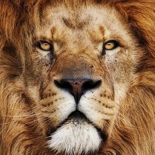 Схема вышивки «№1519610»