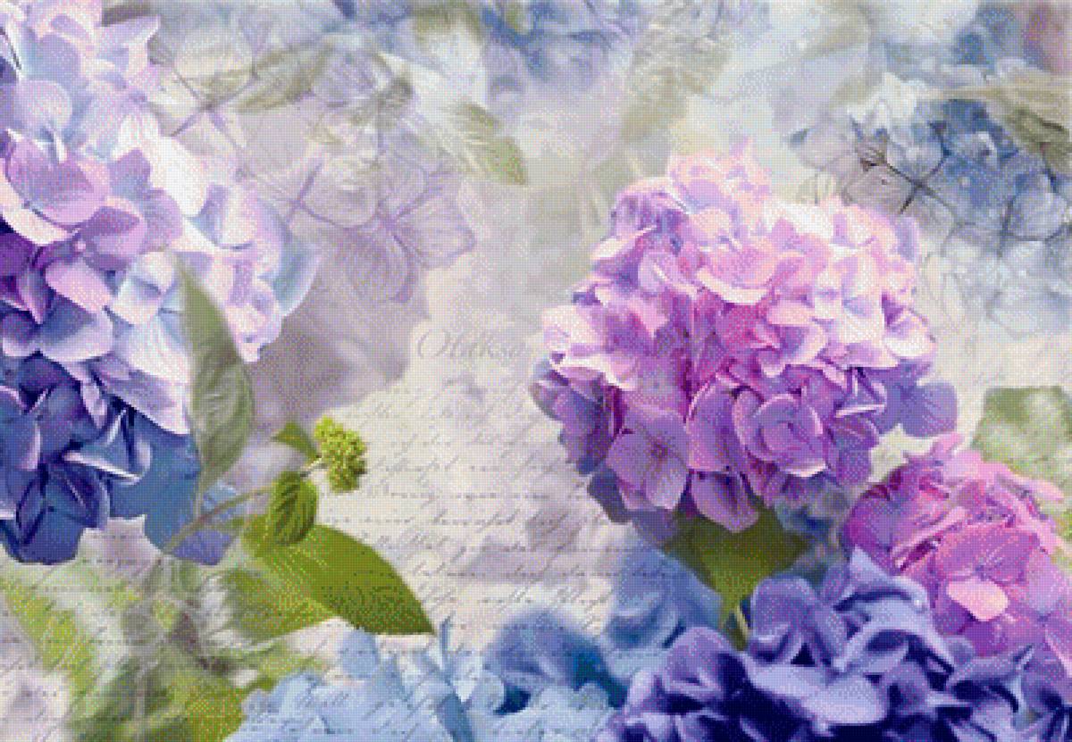Hydrangea - предпросмотр