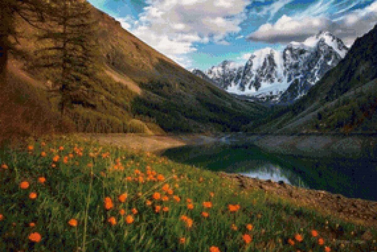 №1521254 - предпросмотр