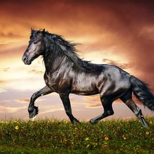 Схема вышивки «№1521261»