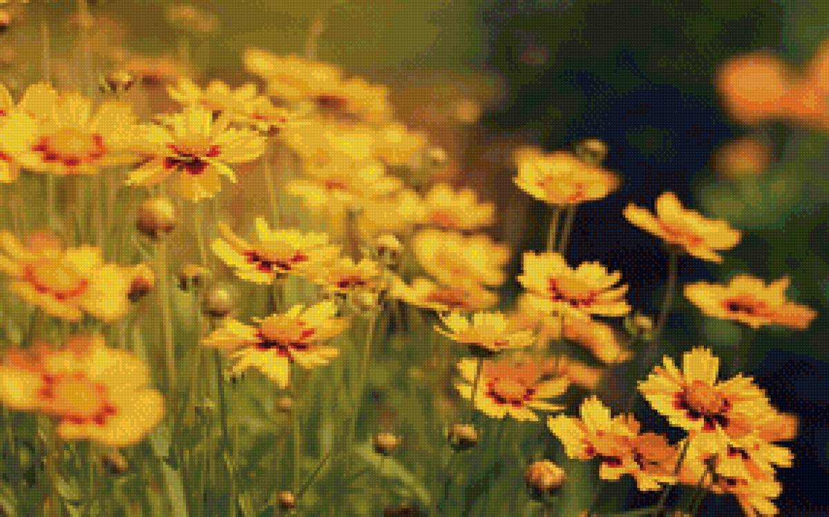 №1521429 - предпросмотр