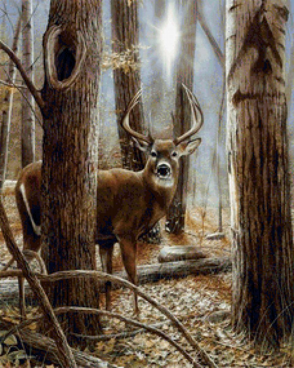 №1521460 - предпросмотр