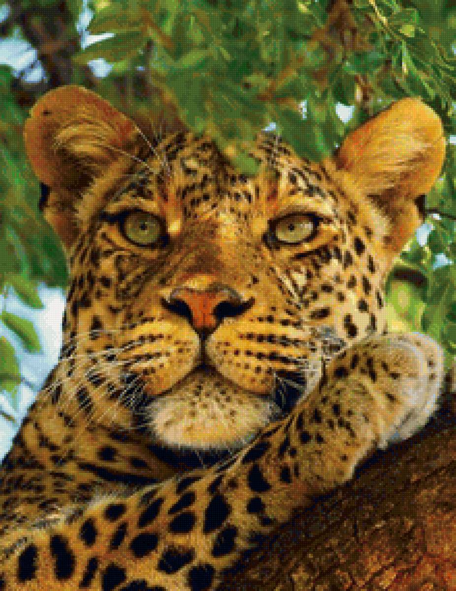 №1521464 - предпросмотр