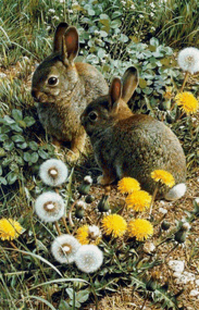 №1521477 - предпросмотр