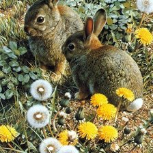 Схема вышивки «№1521477»