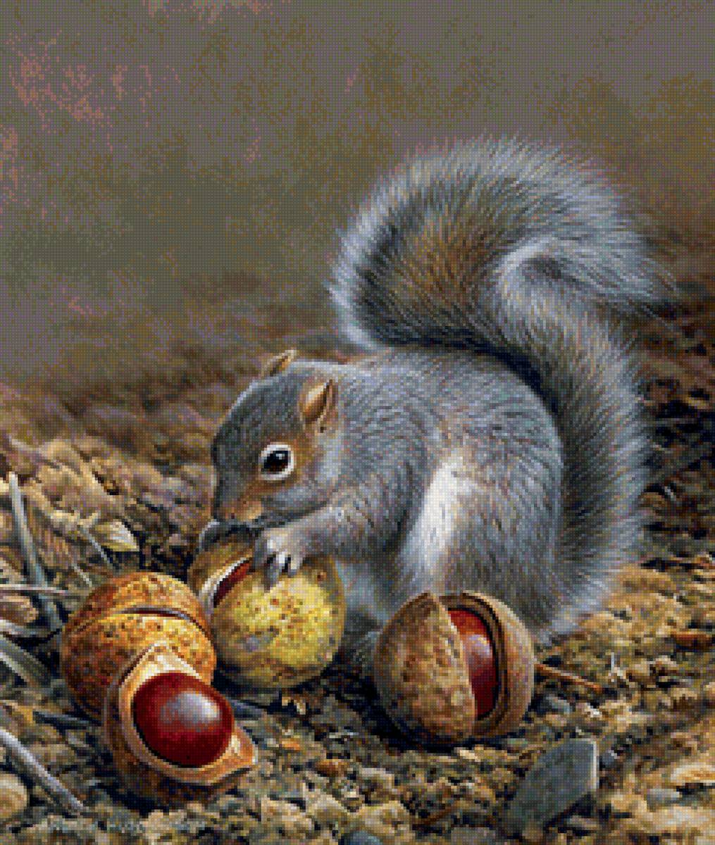 №1521481 - предпросмотр