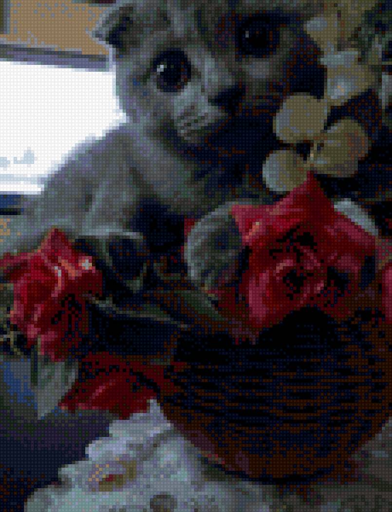 Кот - вислоухий - предпросмотр