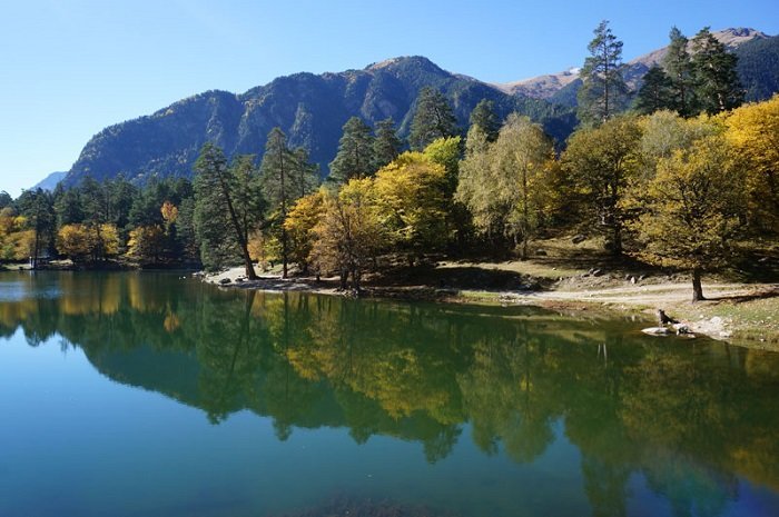 №1521691 - оригинал