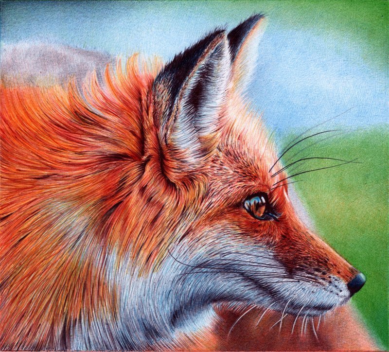 №1521725 - оригинал