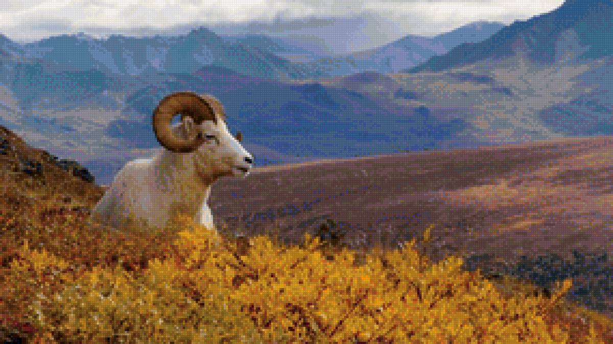 №1521757 - предпросмотр