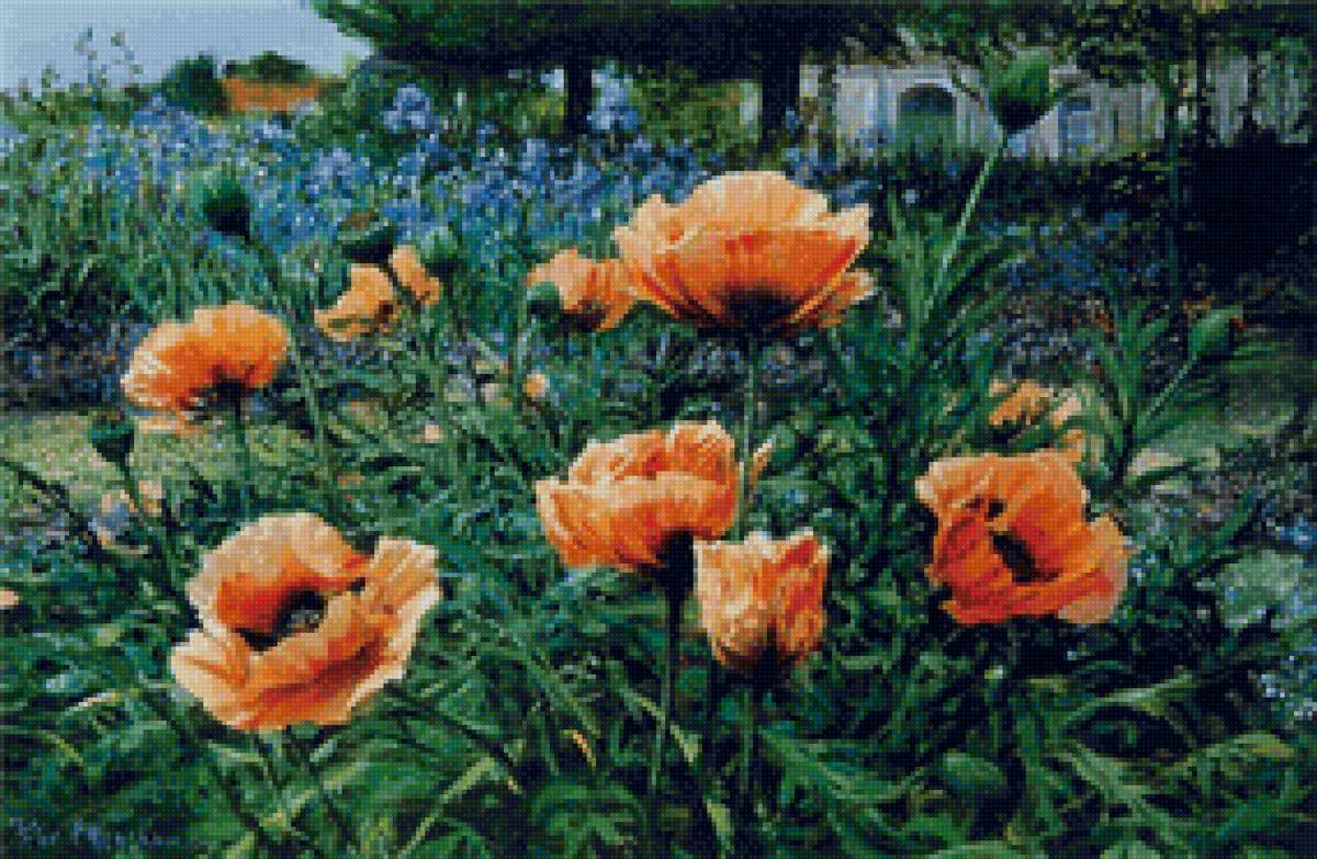 №1521848 - предпросмотр